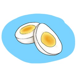 eggs illustration