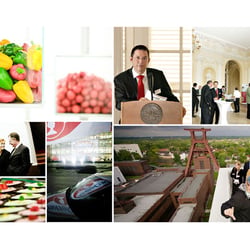 Portfolio digitoxic 16