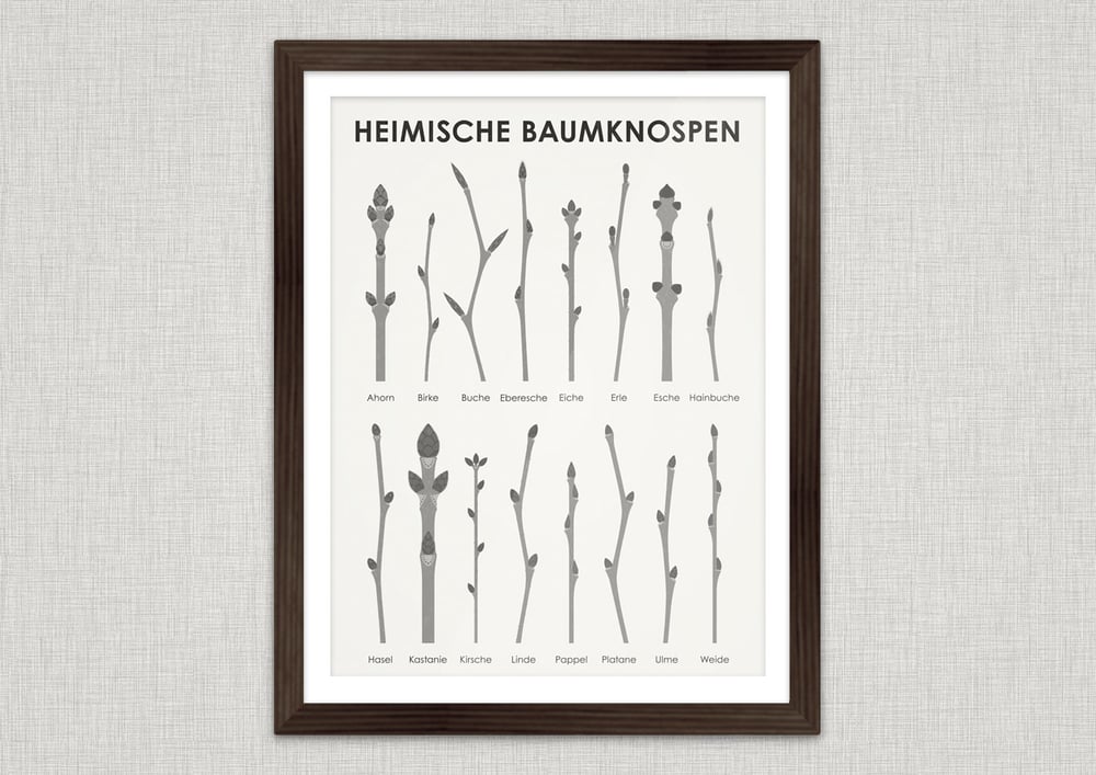 Heimische Baumfrüchte