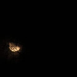 The Moon 2013 by Dina. T