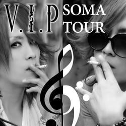 V.I.P. Version 2