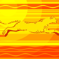 Cheetah