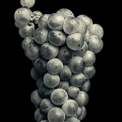Stilleben 001