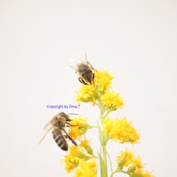 Nature 2014 – Foto Übungen