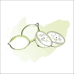 081216 kochbuch illustration 14