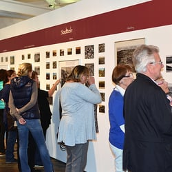 Postkartenausstellung in der Dr. Carl Dörken Galerie
