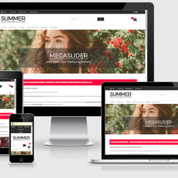 modified eCommerce Onlineshop