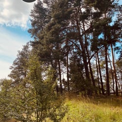 Uckermark / 2022