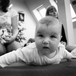 IMG 0868b