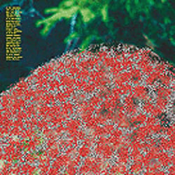 Moodbook für Design aStorz Austria