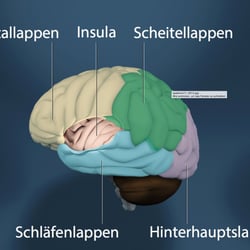 Grafik für „Spektrum der Wissenschaft“, 2014