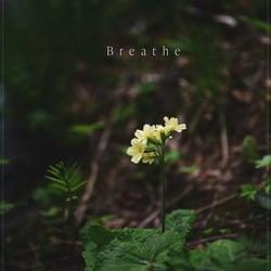 Poster Print