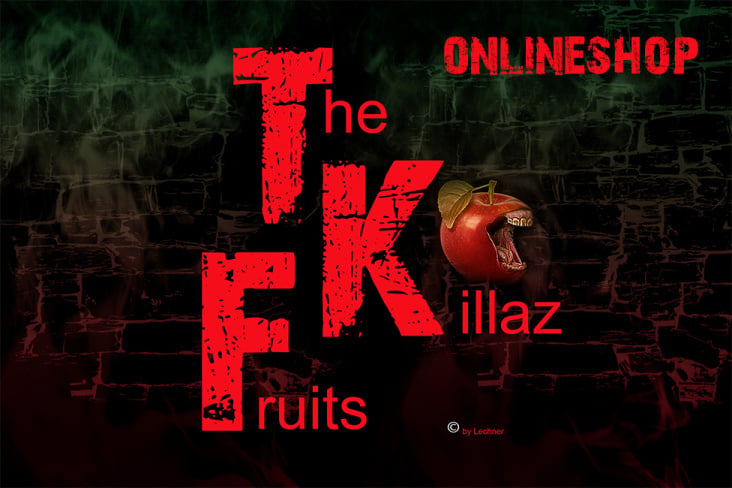 Onlineshop – Kopie
