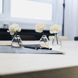 showroom blüten