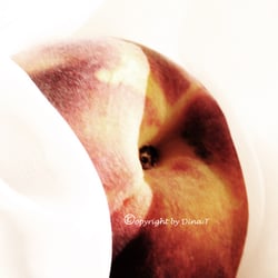 Food 23.08.14