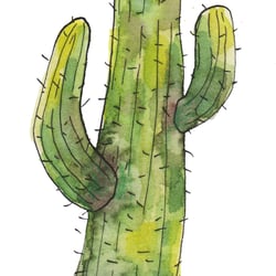 Cactus