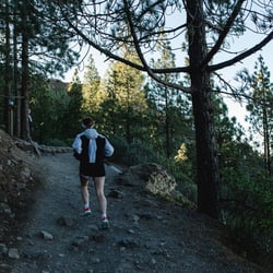 Trans Gran Canaria Trailrun Roque Nublo