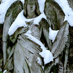 Engel