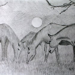 Bleistift, 30×21cm