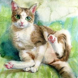 Katzenportrait – Aquarell