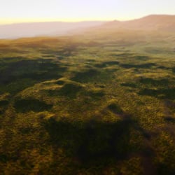Das Terrain