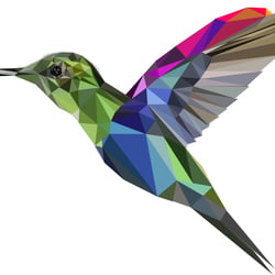 Kolibri-Polyart