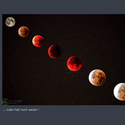 BLOOD MOON