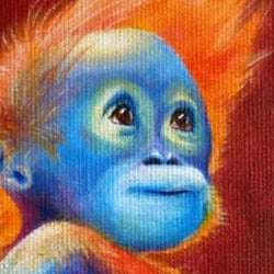 Orang-Utan Jacky-7
