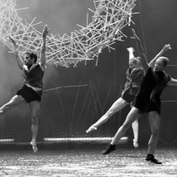 Tänzerinnen und Tänzer des Balletts Halle