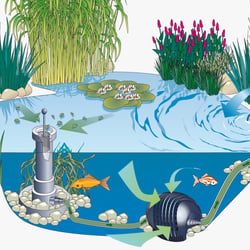 Funktionsweise von Pumpen, Filter und Zubehör für Gartenteiche