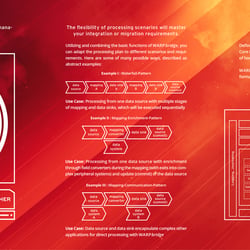 Saviscon Infografik