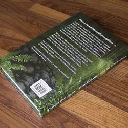 Buchcover – Mondschatten und das Schicksalslos von Corinna Gottsmann