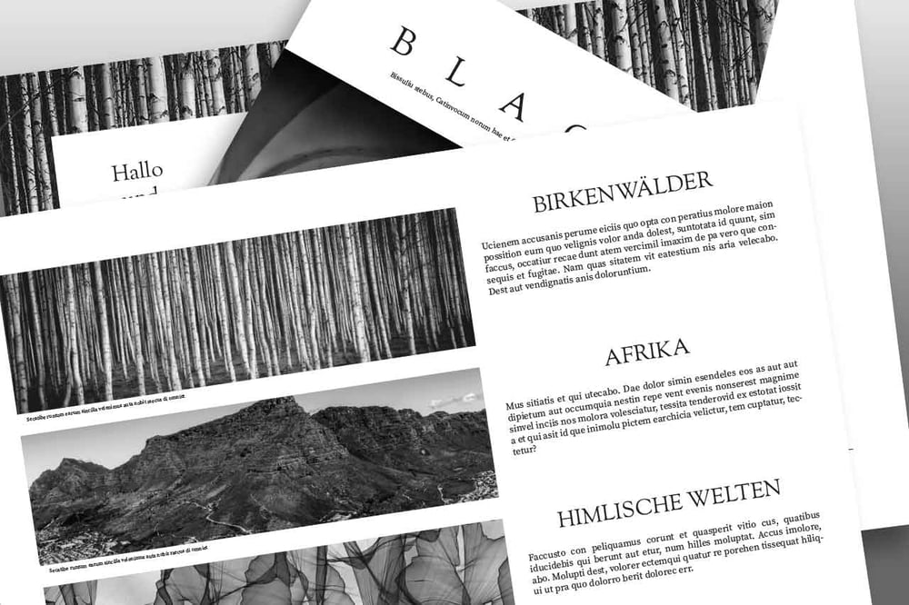 Layout 03