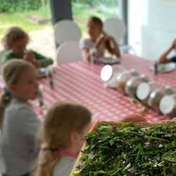 Schulkinder im Museum