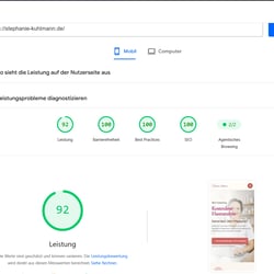 PageSpeed Insights