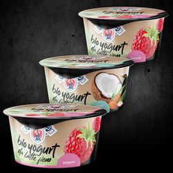 Bio Joghurt im Desto-Becher 170g g – Becher und Platine