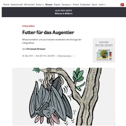 „Futter für das Augentier – Illustrationen für „Die Zeit.