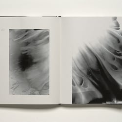 DEMENS BOOK 2
