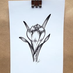 Florale Nostalgie Krokuss 001