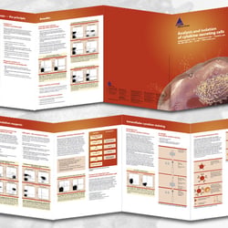 Print: diverse Flyer eines Biotechunternehmens