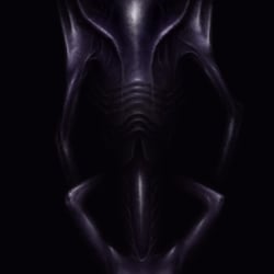 o.T.1