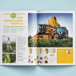 Auftraggeber: HelloFresh