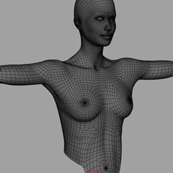 Sharin Body