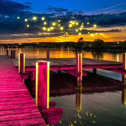 Yellow Fireflies