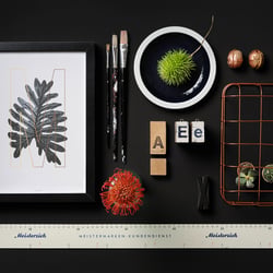 Still Life „Collection“