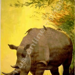 Nashorn