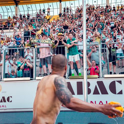 Fans