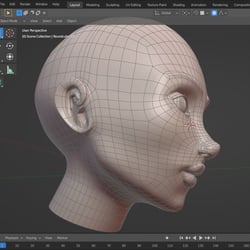 WIP Poly Modelling