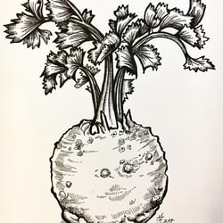 VerenaFaeth Celery Ink