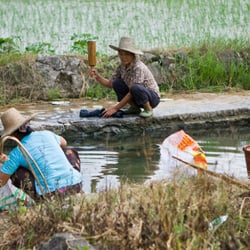 Landleben in der Nähe von Guilin